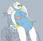  accipitrid accipitriform anthro avian bird disability eagle eris_(legends_of_chima) female hi_res holding_belly obese overweight pregnant simple_background sitting solo stretch_marks unborn_kicking veiled_lioness wheelchair wings 