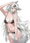  1girl absurdres animal_ears arknights arms_up bare_arms bare_shoulders bikini black_bikini blue_eyes commentary_request cowboy_shot grin hair_ornament hairclip highres lappland_(arknights) long_hair looking_at_viewer navel rui_(woyoudabing_rui) side-tie_bikini_bottom simple_background smile solo standing stomach swimsuit tail very_long_hair white_background white_hair wolf_ears wolf_tail 