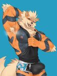  anthro arcanine armpit_fetish armpit_hair armpit_musk big_muscles bodily_fluids body_hair bottomwear bulge canid clothed clothing fluffy fluffy_tail fur generation_1_pokemon genital_outline gym_bottomwear gym_clothing gym_shorts hand_behind_head hi_res looking_at_viewer male mammal muscular muscular_anthro muscular_male musk nintendo nipples open_mouth orange_body orange_fur pecs penis_outline pokemon pokemon_(species) rossciaco shirt shorts smile solo sweat tail tank_top tight_clothing topwear 