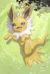  absurd_res ambiguous_gender black_nose blush colored day digital_media_(artwork) digital_painting_(artwork) eeveelution feral field flower fur fur_collar fur_tuft generation_1_pokemon grass hi_res jolteon leaf looking_at_viewer lying nintendo nullma on_back open_mouth outside pawpads pink_pawpads pink_tongue plant pokemon pokemon_(species) quadruped shadow sharp_teeth signature solo tail teeth tongue tuft white_body white_fur yellow_body yellow_ears yellow_fur yellow_paws yellow_tail 