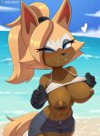  &lt;3 absurd_res anthro areola beach big_breasts biped blue_eyes breasts brown_areola brown_nipples canid canine canis cooliehigh detailed_background eyelashes eyeliner fangs female flashing hi_res idw_publishing makeup mammal nipples seaside sega solo sonic_the_hedgehog_(comics) sonic_the_hedgehog_(idw) sonic_the_hedgehog_(series) teeth whisper_the_wolf wolf 