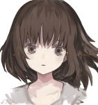  1girl absurdres bown_eyes brown_eyes brown_hair expressionless grey_shirt highres looking_at_viewer medium_hair original parted_lips portrait shinamida shirt simple_background solo white_background 