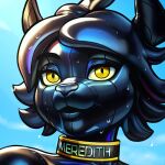  alexa_neon avatar_(disambiguation) bdsm black collar drops furry icon invalid_tag latex low_res pool_toy reflective rubber shiny_(disambiguation) 