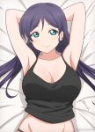  1girl absurdres alterrealzero aqua_eyes armpits arms_behind_head arms_up black_camisole breasts camisole closed_mouth collarbone commentary dot_nose english_commentary groin highres large_breasts light_smile long_hair looking_at_viewer love_live! love_live!_school_idol_project low_twintails lying on_back purple_hair signature solo toujou_nozomi twintails twitter_username upper_body 