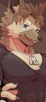  abs absurd_res anthro blue_eyes brown_body brown_fur canid canine canis clothing collar dark_ishihara dog_tags domestic_dog fangs fur hair hi_res male mammal muscular muscular_anthro muscular_male pecs shirt smile solo standing teeth topwear 
