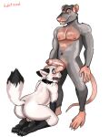  2020 anthro balls butt canid canine duo foreskin genitals hand_on_hip hi_res humanoid_genitalia humanoid_penis kneeling male male/male mammal murid murine nude penis rat rodent rosphix simple_background white_background 