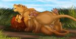  anus bodily_fluids caviaporcellus27 disney duo felid female female/female feral genital_fluids genitals hi_res kio_(kio-leo) lion mammal najani_(proudlioness) pantherine pussy pussy_juice tail_anus the_lion_king 