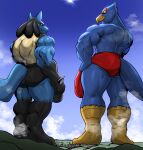  anthro avian backlighting bird blue_body blue_fur bulge butt canid canine city clothing cloud destruction detailed_bulge duo falco_lombardi fur generation_4_pokemon genital_outline hi_res light lighting lucario macro male mammal masterelrest muscular muscular_male nintendo pokemon pokemon_(species) rear_view speedo star_fox swimwear 