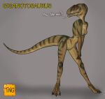  anthro brown_body carcharodontosaurid dark_stripes dialogue dinosaur female giganotosaurus green_stripes hands_crossed hi_res leaning_over nude red_crest reptile scales scalie scaly_tail shy slim solo stripes tail the_nameless_guy theropod 