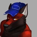  anthro badge ballcap blaze_wolf canid canine canis headshot_portrait hi_res looking_at_viewer male mammal portrait pose posing_for_picture reddragon smile solo wolf 