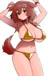  1girl :3 ahoge alternate_breast_size animal_collar animal_ears bare_shoulders bikini blush bone_hair_ornament braid breasts brown_eyes brown_hair cartoon_bone cleavage collar commentary dismassd dog_ears dog_girl dog_tail english_commentary gold_bikini hair_between_eyes hair_ornament hairclip highres hololive inugami_korone large_breasts low_twintails red_collar simple_background smile swimsuit tail twin_braids twintails virtual_youtuber 