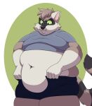  ambiguous_gender anthro belly bottomwear chubby_cheeks clothed clothing green_eyes grey_body hi_res mammal markings nonbinary_(lore) obese open_bottomwear open_clothing open_pants overweight pants patterson_(pattraccoon) procyonid raccoon shikakaka solo striped_markings striped_tail stripes struggling tail tail_markings tight_clothing white_body 