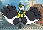  anthro arthropod bee blue_hair canid canine duo feet female foot_fetish fox hair hi_res honeycomb_(shrinkybee) hymenopteran insect macro male male/female mammal pawpads pawperty_damage rache_(pawperty_damage) scientist shrinkybee size_difference 