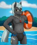  absurd_res anthro black_clothing black_swimwear bodily_fluids bulge clothed clothing equid equine friendship_is_magic grey_body hair hand_on_hip hasbro hi_res inflatable inner_ear_fluff inner_tube lifeguard looking_at_viewer male mammal my_little_pony navel nipples partially_submerged pegasus smile solo speedo standing standing_in_water sweat swimwear tacomytaco thunderlane_(mlp) topless tuft water wet wet_hair whistle wings 