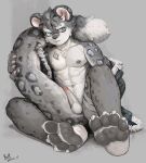  abs absurd_res anthro balls blue_eyes facial_scar felid fur fur_markings genitals grey_body grey_fur hair hi_res looking_at_viewer male mammal markings muscular muscular_male nipples nude pantherine paws pecs penis scar simple_background sitting snow_leopard solo spots spotted_body tail yzmuya 