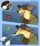  absurd_res anthro blue_background boop canid canine chamaquense comic fangs fox fur hi_res male mammal nose_boop open_mouth pulling_whiskers simple_background smile teeth whiskers yellow_body yellow_fur 