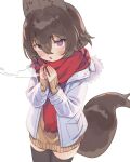  1girl :o animal_ears black_thighhighs blush breath brown_hair coat dog_ears dog_tail fur-trimmed_coat fur_trim hair_between_eyes long_sleeves looking_at_viewer open_mouth original purple_eyes red_scarf scarf simple_background sleeves_past_wrists solo sweater tail thighhighs white_background wolflove zettai_ryouiki 
