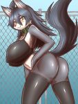  anthro big_breasts blush breasts butt canid canine canis clothing collar domestic_dog female green_eyes komenuka_inaho legwear mammal mohuko_(komenuka_inaho) nipple_outline smile solo tail thigh_highs 