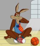  absurd_res anthro ball balls basketball basketball_(ball) bottomless canid canine canis clothed clothing coyote footwear genitals hi_res looney_tunes male mammal nude partially_clothed penis pubes rasik shirt shoes sitting sneakers solo space_jam spread_legs spreading tank_top topwear warner_brothers wile_e._coyote yellow_eyes 