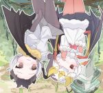  2girls animal_ears bat_ears bat_girl bat_wings black_pantyhose black_skirt blonde_hair blush bow bowtie daito_fruit_bat_(kemono_friends) fur_collar fur_trim grey_hair grey_shirt grey_skirt hair_between_eyes holding holding_clothes holding_skirt honduran_white_bat_(kemono_friends) kemono_friends kemono_friends_3 long_sleeves multicolored_hair multiple_girls one_eye_closed pantyhose pleated_skirt red_bow red_bowtie red_eyes red_pantyhose rubbing_eyes sarutori shirt short_hair short_sleeves skirt upside-down white_fur white_hair white_shirt wings yellow_fur 