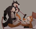  absurd_res anthro anthro_on_anthro anthro_penetrated anthro_penetrating anthro_penetrating_anthro armpit_hair bodily_fluids body_hair bound canid canine canis chest_hair collar cuff_(restraint) cum cum_drip dripping duo erection facial_hair fox fur genital_fluids genitals goatee handcuffs happy_trail haruz_(lumarten) hi_res humanoid_genitalia humanoid_penis leash leash_pull leashed_collar lucas_(lumarten) lumarten male male/male male_penetrated male_penetrating male_penetrating_male mammal metal_cuffs muscular muscular_anthro muscular_male nipples orange_body orange_fur penetration penis power_bottom pubes restraints sex sweat tongue tongue_out wolf 