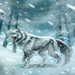  ambiguous_gender canid canine canis claws detailed_background ezpups fangs feral fluffy fur grey_body grey_fur hi_res mammal open_mouth paws plant sharp_teeth snout snow snowing solo teeth toe_claws tree walking wolf 