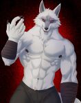  2023 5_fingers abs anthro arm_wraps black_nose black_sclera bottomwear canid canine canis chibikoma claws clothed clothing death_(puss_in_boots) dreamworks finger_claws fingers fur hi_res humanoid_hands male mammal muscular muscular_anthro muscular_male navel nipples pants pecs puss_in_boots_(film) puss_in_boots_the_last_wish red_eyes solo teeth tongue topless topless_anthro topless_male white_body white_fur wolf wraps 