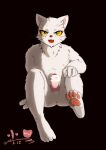  anthro anus aroused blush domestic_cat felid feline felis genitals interrupted_masturbation invalid_tag li_bing_(white_cat_legend) looking_at_viewer male mammal nipples nude paws penis solo white_cat_legend xiao_hei_xiao_hei_(artist) 
