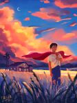  1boy aged_down black_hair cape clark_kent cloud cloudy_sky curly_hair dc_comics denim fallen-jpg highres house jeans looking_up pants parted_lips red_cape shirt short_hair short_sleeves signature sky star_(sky) starry_sky sunset superman superman_(series) torn_clothes wheat_field white_shirt wind windmill 