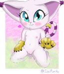  anthro bandai_namco clothing digimon digimon_(species) female gatomon genitals gloves gloves_only handwear handwear_only hi_res humanoid izzipurrito kneeling markings mostly_nude navel nipples nude pink_body pussy ring simple_background solo striped_markings striped_tail stripes tagme tail tail_markings 