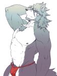 2023 abs anthro asian_clothing black_nose body_hair canid canine canis chest_tuft clothed clothing colored countershade_face countershade_legs countershade_torso countershading domestic_dog east_asian_clothing facial_hair fundoshi fundoshi&#039;s_day fundoshi_only fur goatee grey_body grey_facial_hair grey_fur grey_hair grey_nipples hair hand_behind_head happy_trail hi_res husky japanese_clothing long_hair looking_up male mammal mature_anthro mature_male mitsuhisa_aotsuki morenatsu muscular muscular_anthro muscular_male navel nipples nordic_sled_dog pecs pubes red_clothing red_fundoshi red_underwear run_aki sideburns simple_background solo spitz tuft underwear underwear_only white_background white_body white_countershading white_fur 