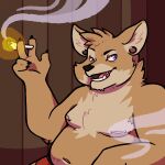  absurd_res anthro blue_eyes canid canine clothed clothing drugs echo_(game) echo_(series) echo_project fennec fox hi_res humanoid jeremy_begay lennysgaycousin male mammal marijuana nipple_piercing nipples piercing solo underwear underwear_only 
