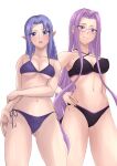  2girls ass_visible_through_thighs bikini black_bikini fate/hollow_ataraxia fate/stay_night fate_(series) forehead glasses highres kikyouta long_hair looking_at_viewer medea_(fate) medusa_(fate) medusa_(rider)_(fate) multiple_girls purple_eyes purple_hair simple_background swimsuit upper_body white_background 