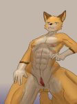  3:4 abs absurd_res andromorph anthro arrier_jewolf blue_eyes bodily_fluids canid canine clitoris countershade_torso countershading crouching digital_media_(artwork) dipstick_tail fox full-length_portrait genital_fluids genitals gloves_(marking) grey_background hi_res intersex looking_at_viewer mammal markings muscular nude orange_body portrait pussy simple_background solo spread_legs spreading tail tail_markings 