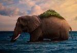  animal artist_name aymenpark cloud cloudy_sky elephant from_side island ocean one_piece outdoors photoshop_(medium) realistic sky solo standing sunset water zunesha 