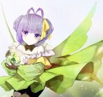  1girl antenna_hair bare_shoulders black_shorts breasts brown_gloves detached_collar dress fairy_wings fate/grand_order fate_(series) flower gloves green_dress hair_ribbon highres kino_kokko long_sleeves looking_at_viewer muryan_(fate) off_shoulder orb puffy_sleeves purple_eyes purple_hair ribbon short_hair shorts small_breasts solo two_side_up wings yellow_ribbon 