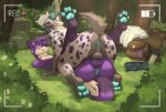  2022 absurd_res anthro anus balls blue_pawpads blush canid duo forest fur genitals grass grey_body grey_fur hi_res hyena looking_at_viewer looking_back lying male male/male mammal on_back pawpads plant presenting purple_body purple_fur recording sleepibytes spots spotted_body spotted_fur spotted_hyena tree 