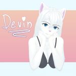  anthro blue_eyes bra clothing devin_(yeetboi420z) domestic_cat felid feline felis female fur hair hi_res mammal simple_background solo underwear white_body white_fur white_hair yeetboi420z 