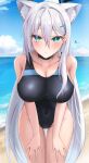  1girl absurdres animal_ear_fluff animal_ears beach black_one-piece_swimsuit blue_archive blue_eyes blue_sky breasts cloud competition_swimsuit covered_navel cross_hair_ornament day extra_ears grey_hair hair_ornament halo highres horizon large_breasts leaning_forward long_hair looking_at_viewer mismatched_pupils multicolored_clothes multicolored_swimsuit ocean official_alternate_costume one-piece_swimsuit onemuikun-b outdoors shiroko_(blue_archive) shiroko_(swimsuit)_(blue_archive) shiroko_(terror)_(blue_archive) sky solo swimsuit thigh_gap very_long_hair wolf_ears 
