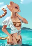  absurd_res akino_(kemokin_mania) anthro beach bikini black_nose breasts brown_eyes brown_spots cheek_tuft cheetah chest_tuft cleavage clothed clothing cloud digital_media_(artwork) eyelashes facial_tuft felid feline female fingers fur gold_bikini half-closed_eyes hand_on_neck hi_res kemokin_mania legs_in_water mammal midriff mountain narrowed_eyes navel open_clothing open_mouth open_shirt open_topwear outside partially_submerged partially_submerged_legs seaside shirt sky solo spots spotted_body spotted_fur standing standing_in_water string_bikini submerged_legs swimwear tail topwear tuft water wet white_clothing yellow_body yellow_fur 