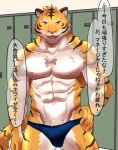  abs anthro bulge clothed clothing dialogue felid fur hi_res humukeaka1 japanese_text locker locker_room looking_at_viewer male mammal marbles_(pixiv) multicolored_body multicolored_fur muscular muscular_anthro muscular_male nipples open_mouth pantherine pecs shirtless solo speedo speedo_only striped_body striped_fur stripes swimwear talking_to_viewer text tiger topless white_body white_fur yellow_body yellow_fur 