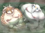  anthro bathing_together belly blue_eyes deer duo elephant elephantid flaccid fupa genitals hi_res hizen_(tamacolle) hot_spring kazusa male male/male mammal moobs navel nipples nude overweight penis proboscidean proboscis_(anatomy) shinoda_hamazaki tamacolle trunk_(anatomy) tusks water 