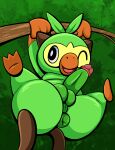  absurd_res anus butt feral generation_8_pokemon genitals grookey hanging_from_branch hi_res humanoid_genitalia humanoid_penis male nintendo penis plant pokemon pokemon_(species) puffy_anus solo spread_legs spreading tepigfan101 tree 