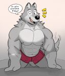  2022 abs all_fours anthro barazoku biceps black_nose canid canine canis clothed clothing dialogue digital_media_(artwork) english_text eyebrows fur grey_body grey_fur hi_res male mammal navel nipples open_mouth open_smile pecs ruffus_(ruffusbleu) ruffusbleu smile solo speech_bubble tail tail_motion tailwag talking_to_viewer teeth text tongue underwear underwear_only wolf 