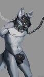  absurd_res anthro bodily_fluids canid canine canis chain chastity_belt chastity_cage chastity_device chilldog collar cum cum_drip dripping genital_fluids hi_res male mammal muscular muscular_male muzzle_(object) muzzled precum solo wolf 