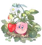  :t blue_eyes blush blush_stickers closed_mouth eating flower food food_on_face fruit kirby kirby_(series) leaf looking_at_viewer mutekyan no_humans plant simple_background solo strawberry strawberry_blossoms strawberry_plant white_background white_flower white_strawberry 