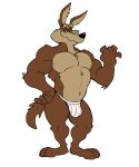  absurd_res anthro bulge canid canine canis clothed clothing coyote darknaigart hi_res looking_at_viewer looney_tunes male mammal muscular muscular_anthro muscular_male narrowed_eyes pecs simple_background smile solo standing underwear underwear_only warner_brothers white_background wile_e._coyote 