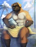  abs anthro brown_body brown_fur canid canine canis cloud day domestic_dog floppy_ears fur hi_res male mammal mekaska multicolored_body multicolored_fur norton_(nerton) outside sitting sky solo towel towel_around_waist towel_only wet wet_body wet_fur 