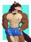  abs anthro blue_bottomwear blue_clothing blue_shorts bottomwear brown_body brown_ears brown_fur brown_legs canid canine clock clothing collarbone fur hand_in_pocket hi_res kinhey male mammal muscular muscular_anthro muscular_male nipples pecs pink_nipples pockets shorts shorts_only watch wristwatch 