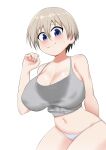  arm_behind_back blue_eyes breasts cleavage closed_mouth eqe_(eqeart) grey_hair hand_up highres huge_breasts looking_at_viewer navel panties short_hair simple_background smile sweat sweaty_clothes tank_top underwear uzaki-chan_wa_asobitai! uzaki_hana white_background white_panties 
